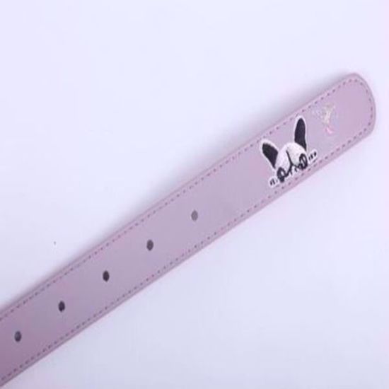 Picture of Fashion Lady Belt-Mixed