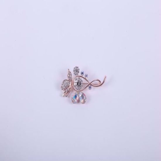 Picture of fashion breast pin (random selection)