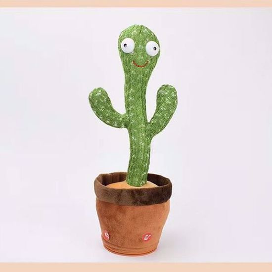 Picture of Dancing Cactus
