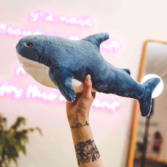 Picture of shark doll