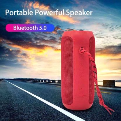 Picture of speaker flip 5