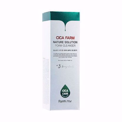 Picture of FARMSTAY CICA FARM NATURE SOLUTION FOAM CLEANSER