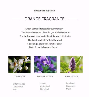 صورة MeiDun Summer Bamboo Deep Perfume - 50ml