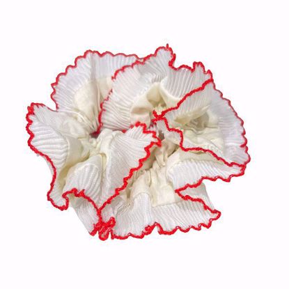 Picture of Ruffled Hair Scrunchie (White with Red-Edged Lace Trim – Ballet Style)