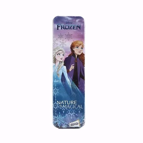 صورة Disney Frozen Pencil Box