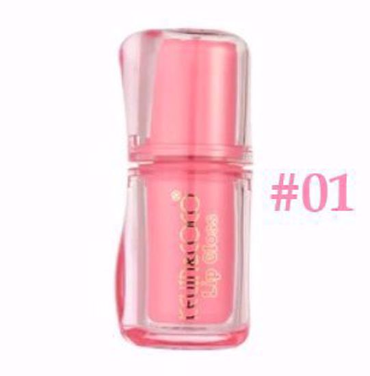 Picture of Lip Gloss 2.2g