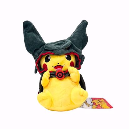 Picture of Pikachu x Mega Rayquaza Poncho