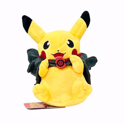 Picture of Pikachu x Mega Rayquaza Poncho